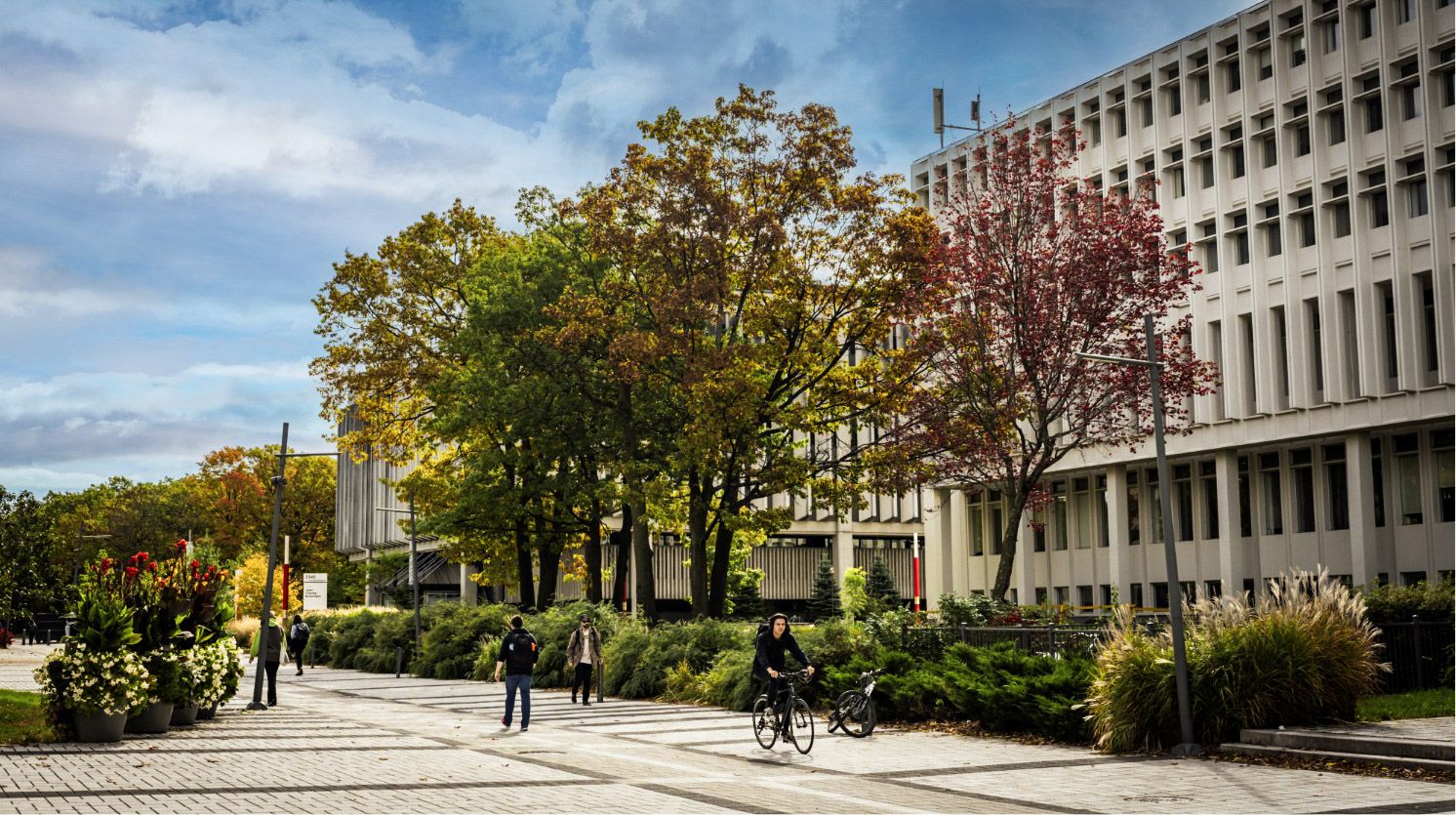 Campus en été