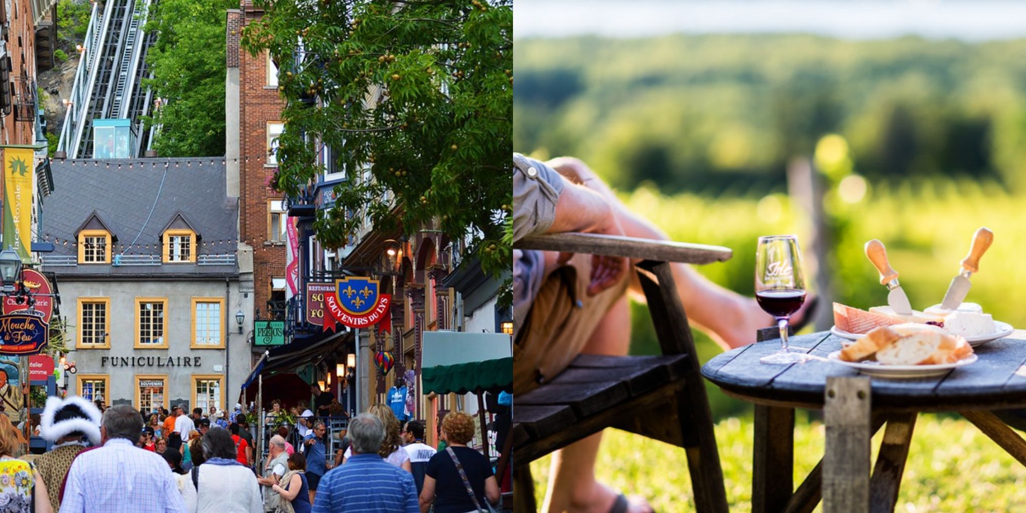 Vieux-Québec et vignoble île d'Orléans